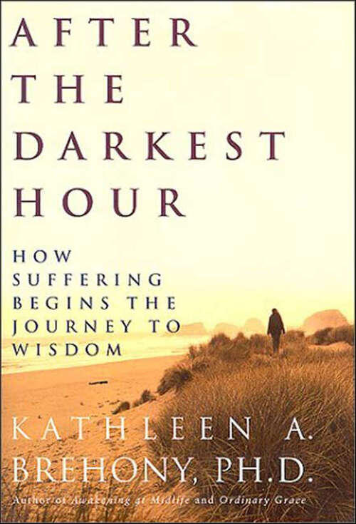 Book cover of After the Darkest Hour: How Suffering Begins the Journey to Wisdom