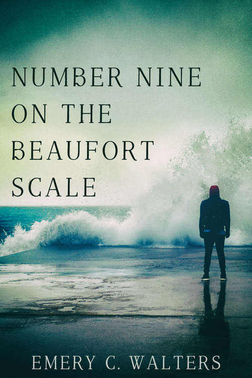 Book cover of Number Nine on the Beaufort Scale