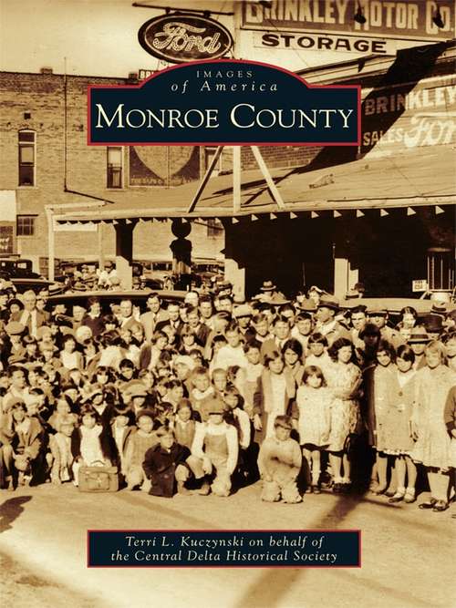 Book cover of Monroe County