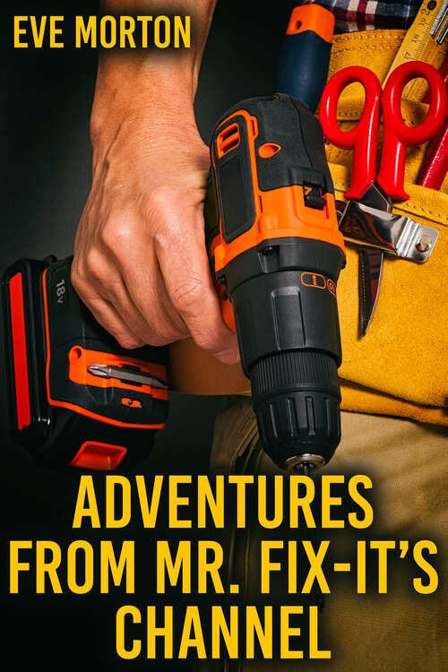 Book cover of Adventures from Mr. Fix It's Channel