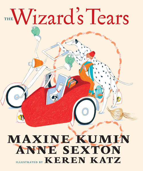 Book cover of The Wizard's Tears