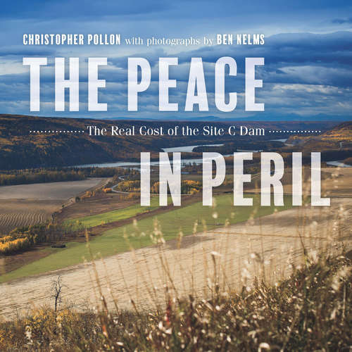 Book cover of The Peace in Peril: The Real Cost of the Site C Dam