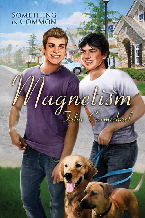 Book cover of Magnetism (Something in Common)