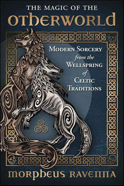 Book cover of The Magic of the Otherworld: Modern Sorcery from the Wellspring of Celtic Traditions