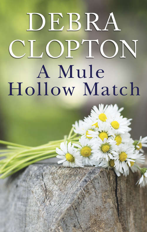 Book cover of A Mule Hollow Match