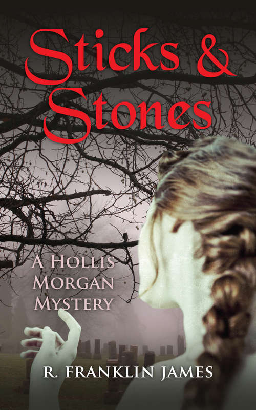 Book cover of Sticks & Stones (The Hollis Morgan Mysteries #2)