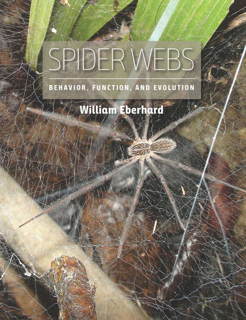 Book cover of Spider Webs: Behavior, Function, and Evolution