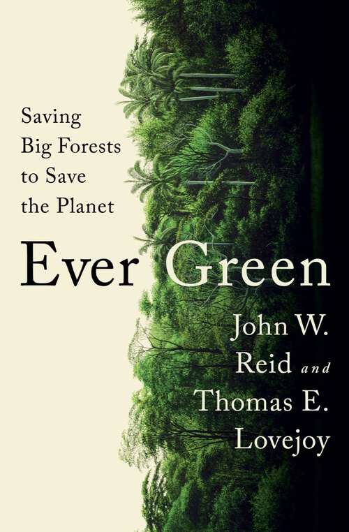 Book cover of Ever Green: Saving Big Forests to Save the Planet
