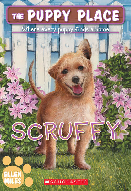 Book cover of Scruffy (The Puppy Place)