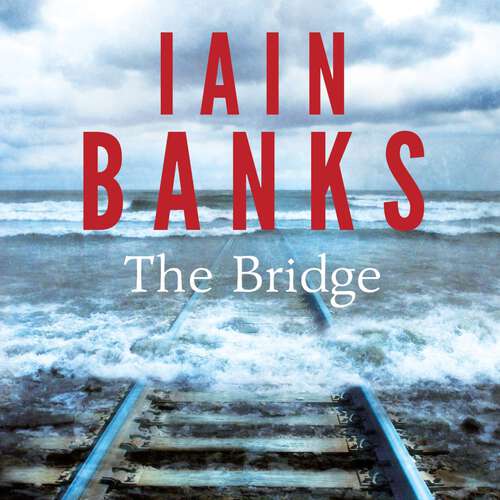 Book cover of The Bridge