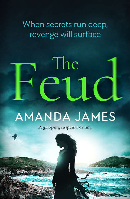 Book cover of The Feud: A Gripping Suspense Drama