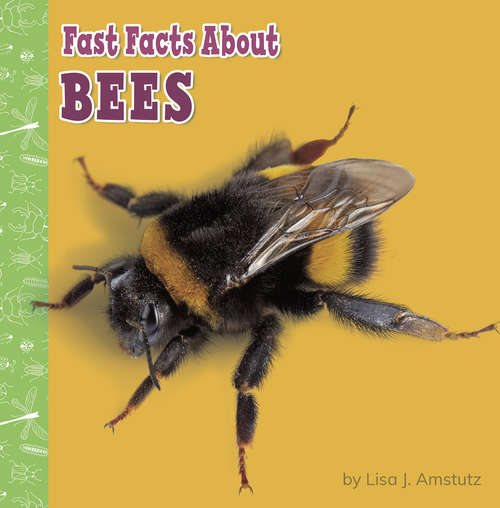 Book cover of Fast Facts About Bees (Fast Facts About Bugs & Spiders)