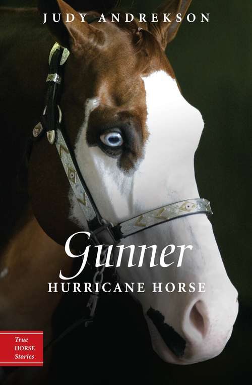 Book cover of Gunner: Hurricane Horse (True Horse Stories #1)
