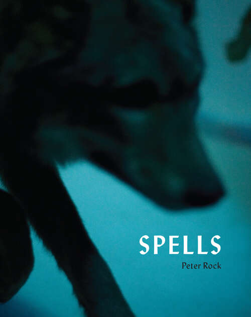 Book cover of Spells: A Novel Within Photographs