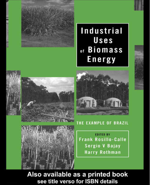 Book cover of Industrial Uses of Biomass Energy: The Example of Brazil