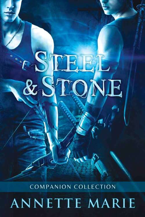 Book cover of Steel & Stone Companion Collection