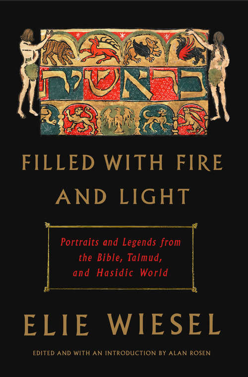 Book cover of Filled with Fire and Light: Portraits and Legends from the Bible, Talmud, and Hasidic World