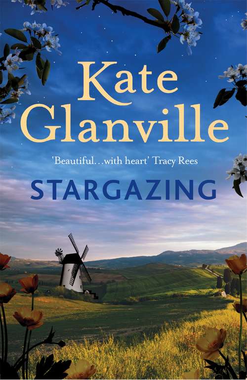 Book cover of Stargazing: A charming read of love and family secrets