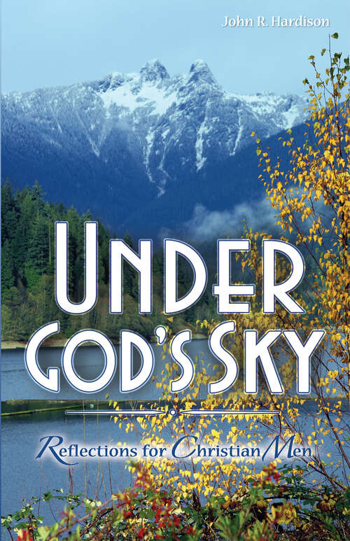 Book cover of Under Gods Sky: Reflections for Christian Men