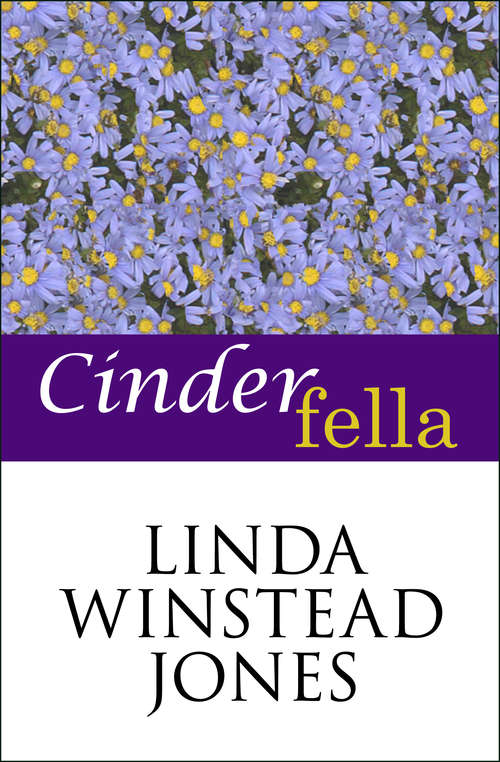 Book cover of Cinderfella