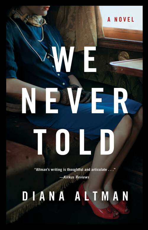 Book cover of We Never Told: A Novel