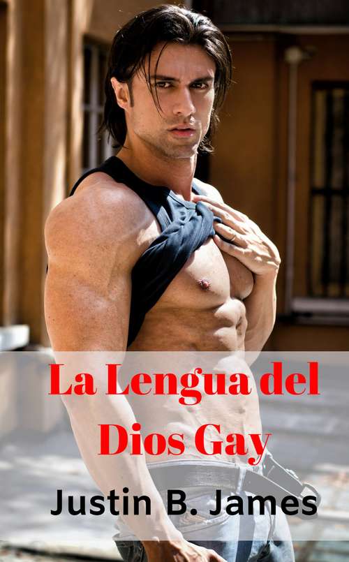 Book cover of La Lengua del Dios Gay