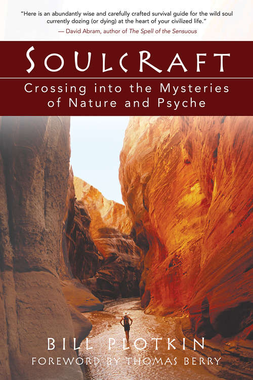 Book cover of Soulcraft: Crossing into the Mysteries of Nature and Psyche