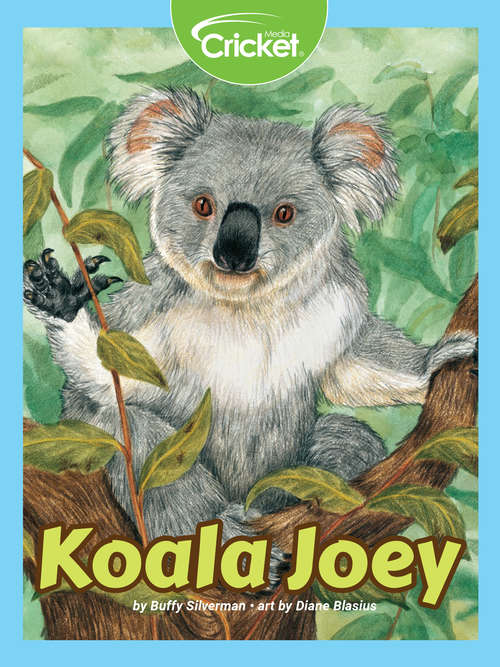 Book cover of Koala Joey