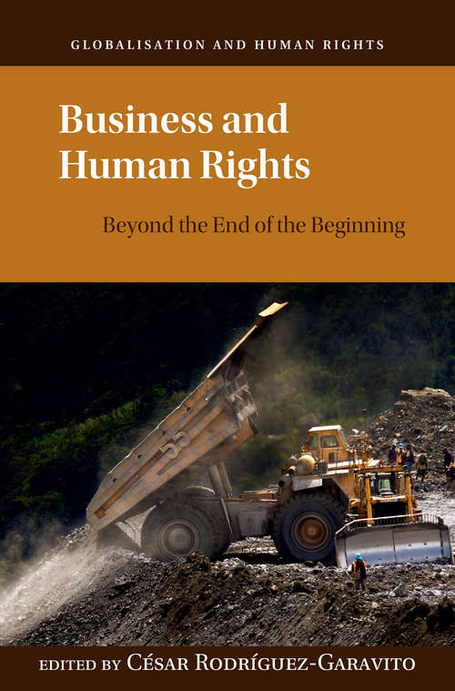 Book cover of Business and Human Rights: Beyond the End of the Beginning (Globalization and Human Rights)