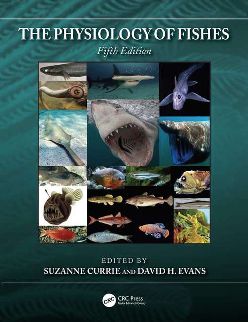 Book cover of The Physiology of Fishes (5) (CRC Marine Biology Series)