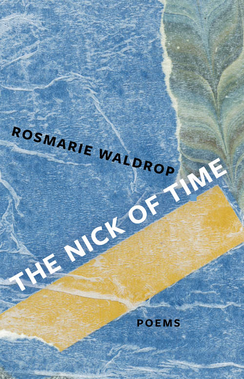 Book cover of The Nick of Time