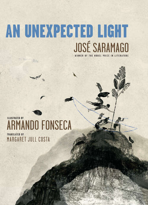 Book cover of An Unexpected Light
