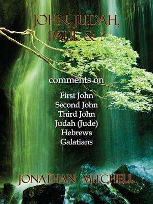 Book cover of John Judah Paul & ?