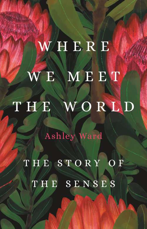 Book cover of Where We Meet the World: The Story of the Senses