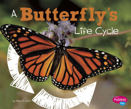 Book cover of A Butterfly's Life Cycle (Explore Life Cycles Ser.)