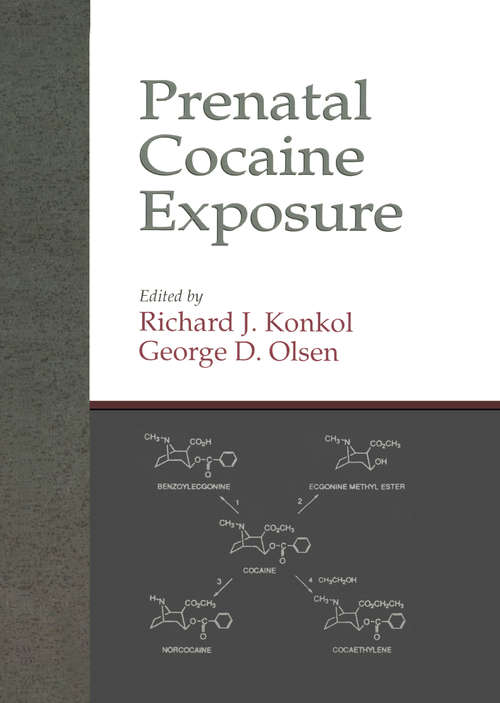 Book cover of Prenatal Cocaine Exposure