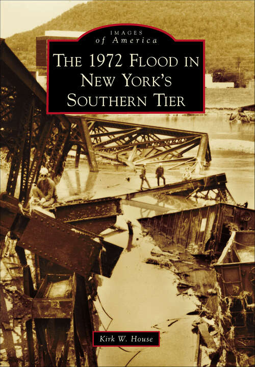 Book cover of The 1972 Flood in New York's Southern Tier (Images of America)