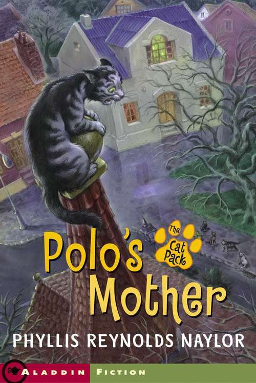 Book cover of Polo's Mother