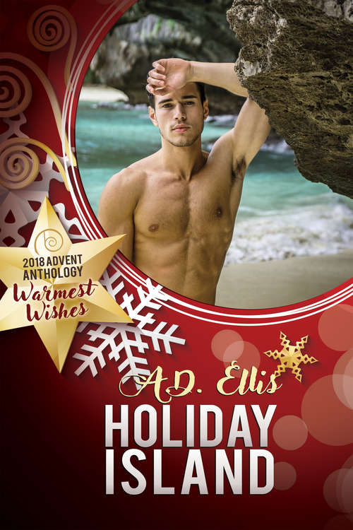 Book cover of Holiday Island (2018 Advent Calendar - Warmest Wishes)