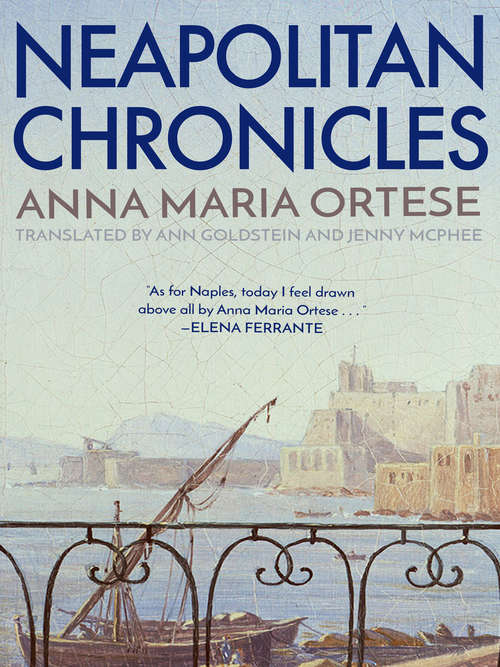 Book cover of Neapolitan Chronicles