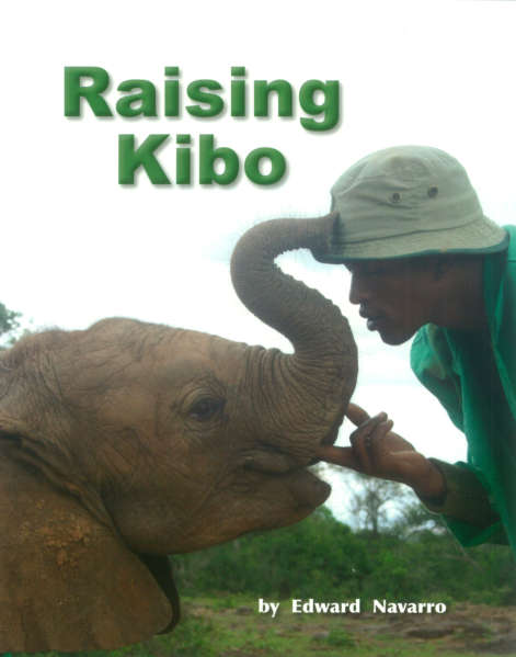 Book cover of Raising Kibo (Fountas & Pinnell LLI Red: Level M)