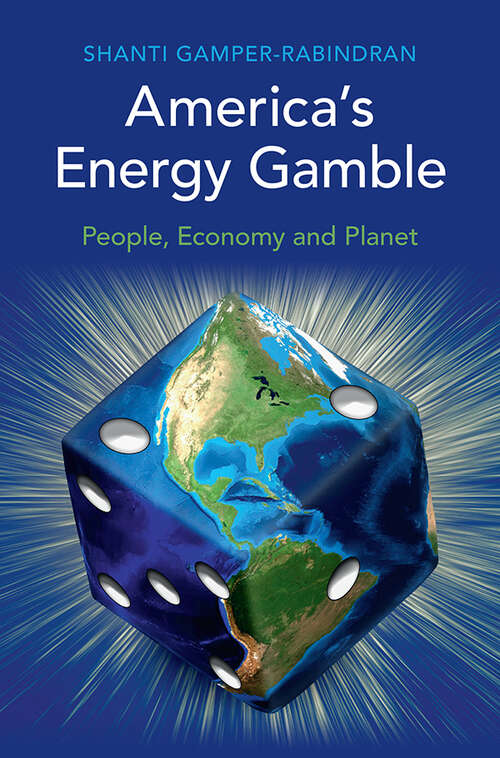 Book cover of America's Energy Gamble: People, Economy and Planet