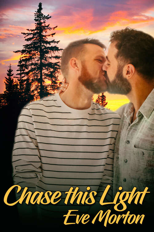 Book cover of Chase This Light