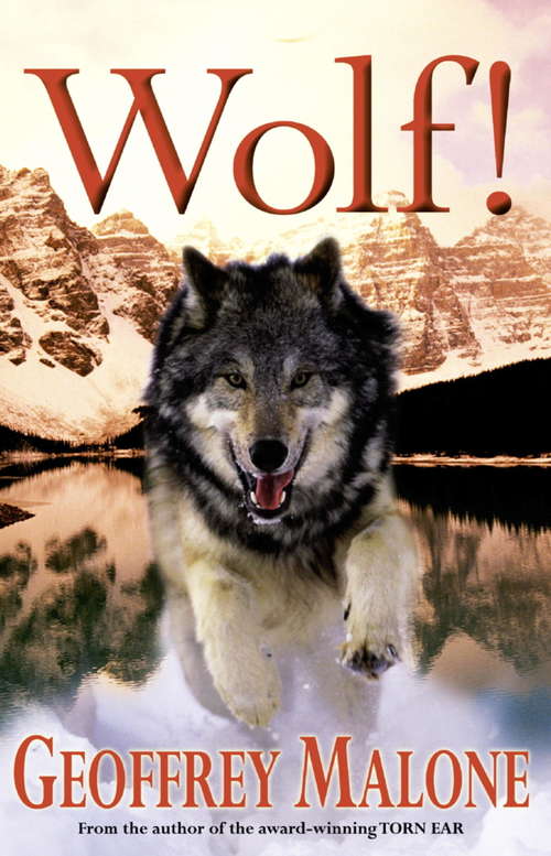 Book cover of Wolf