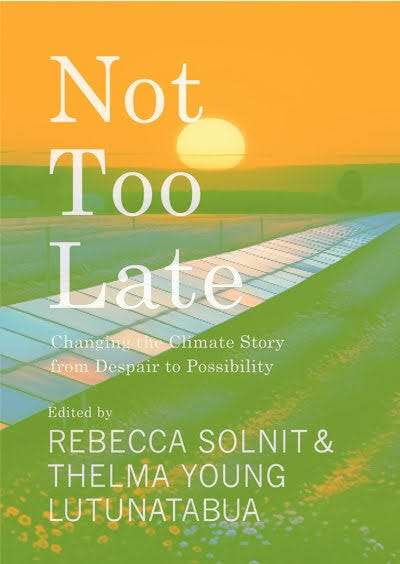 Book cover of Not Too Late: Changing The Climate Story From Despair To Possibility