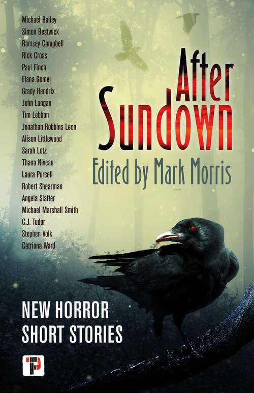 Book cover of After Sundown (Fiction Without Frontiers)
