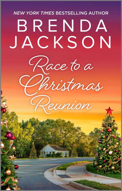 Book cover of Race To A Christmas Reunion (Original)