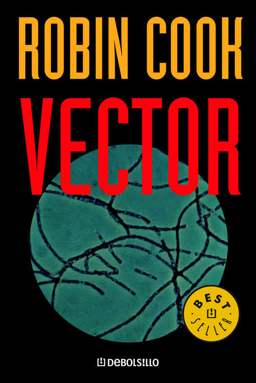 Book cover of Vector (Jack Stapleton Ser.: No. 4)