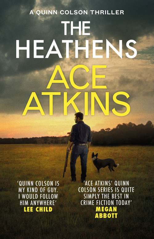 Book cover of The Heathens (Quinn Colson #11)
