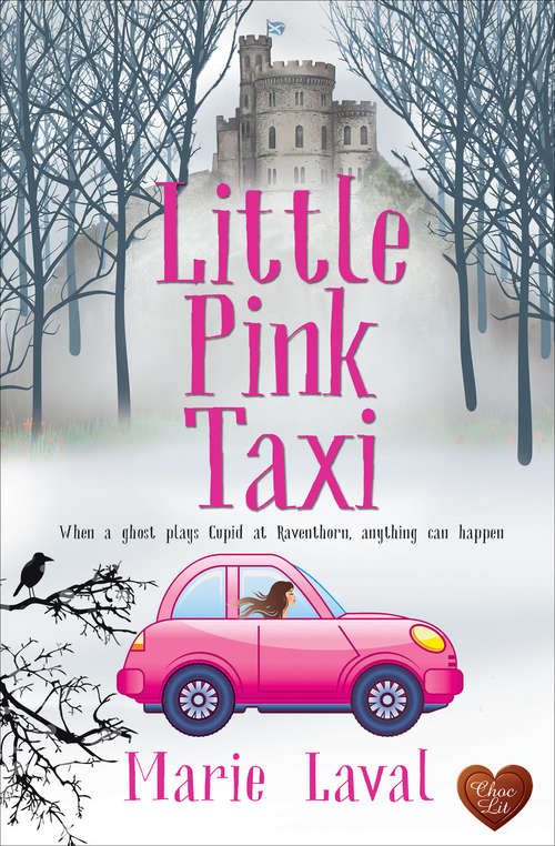 Book cover of Little Pink Taxi